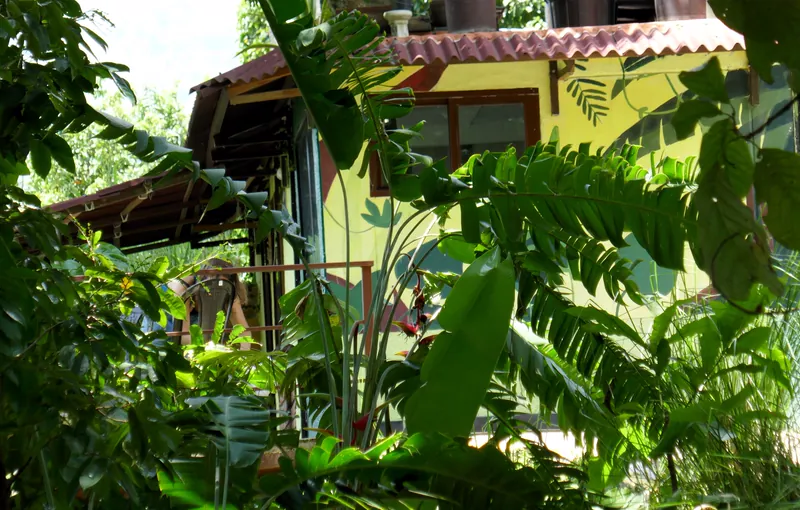 El apartamento visto entre la vegetación tropical del jardín
